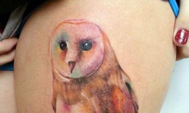 Tetovaža sove - značenje Značenje tetovaže sove